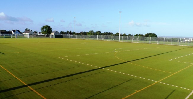 Synthetic Pitch Maintenance in Newtown