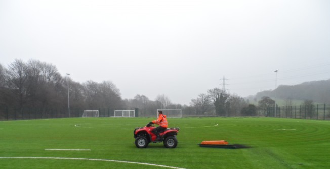 Artificial Grass Grooming in New Town