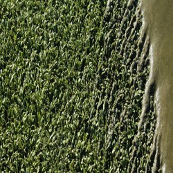 Synthetic Turf Drag Brushing in Walcot 10