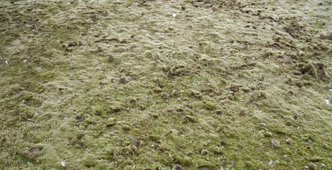 Sports Pitch Rejuvenation in Bourton