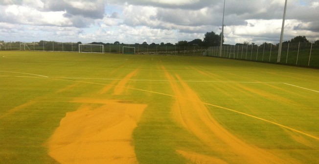 Turf Infill Top Up in Ashley