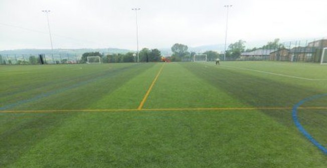 Pitch Maintenance Specialists in Church End